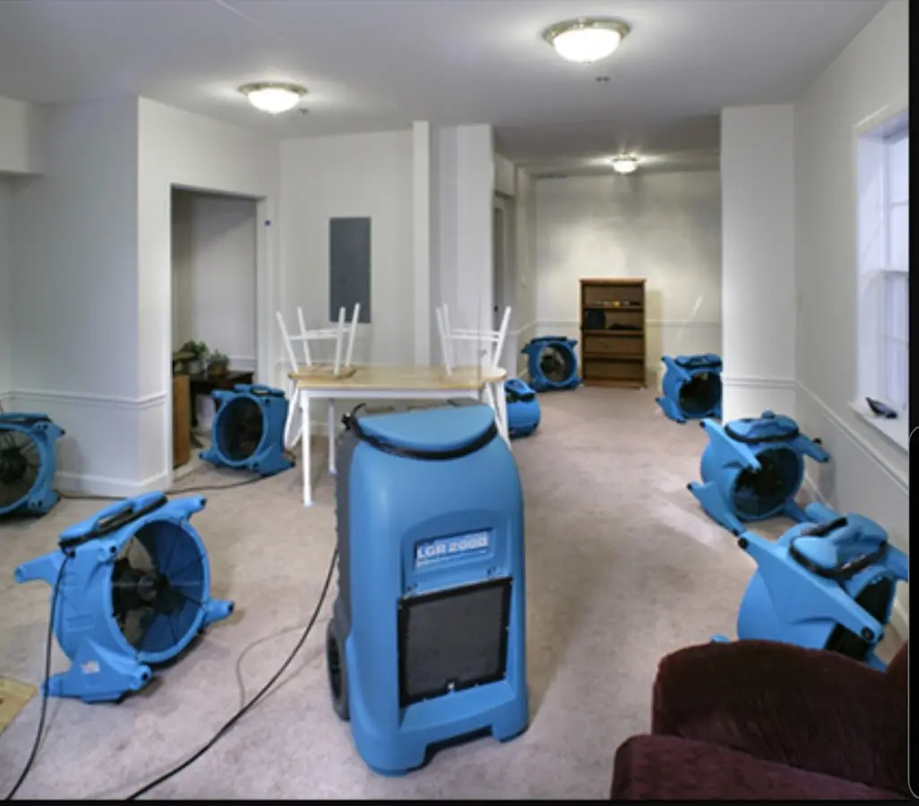 Air movers and dehumidifier setup for Water Extraction & Removal in Albion
