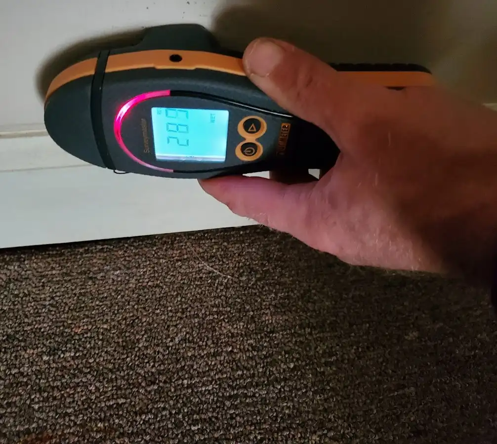 Moisture detection at baseboard during Sewage Cleanup & Sanitation in Albion