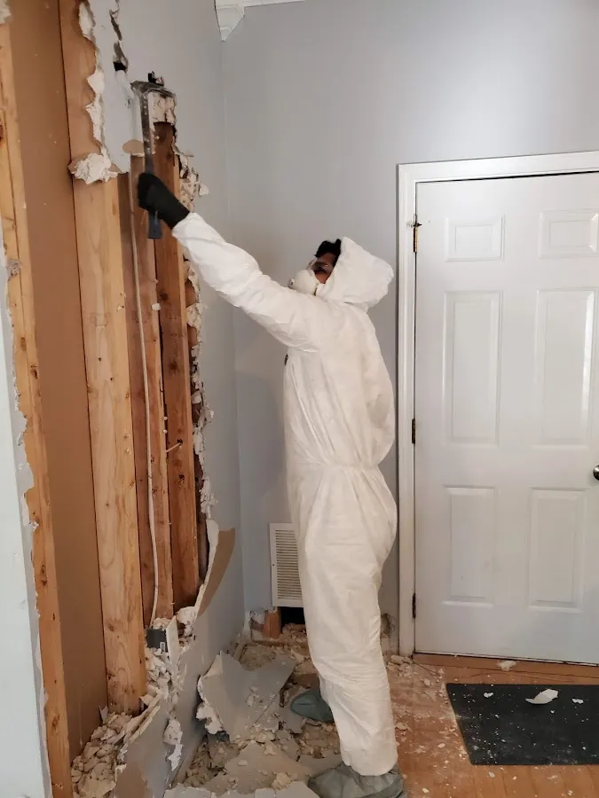 Emergency Water Damage Services in Albion, NY