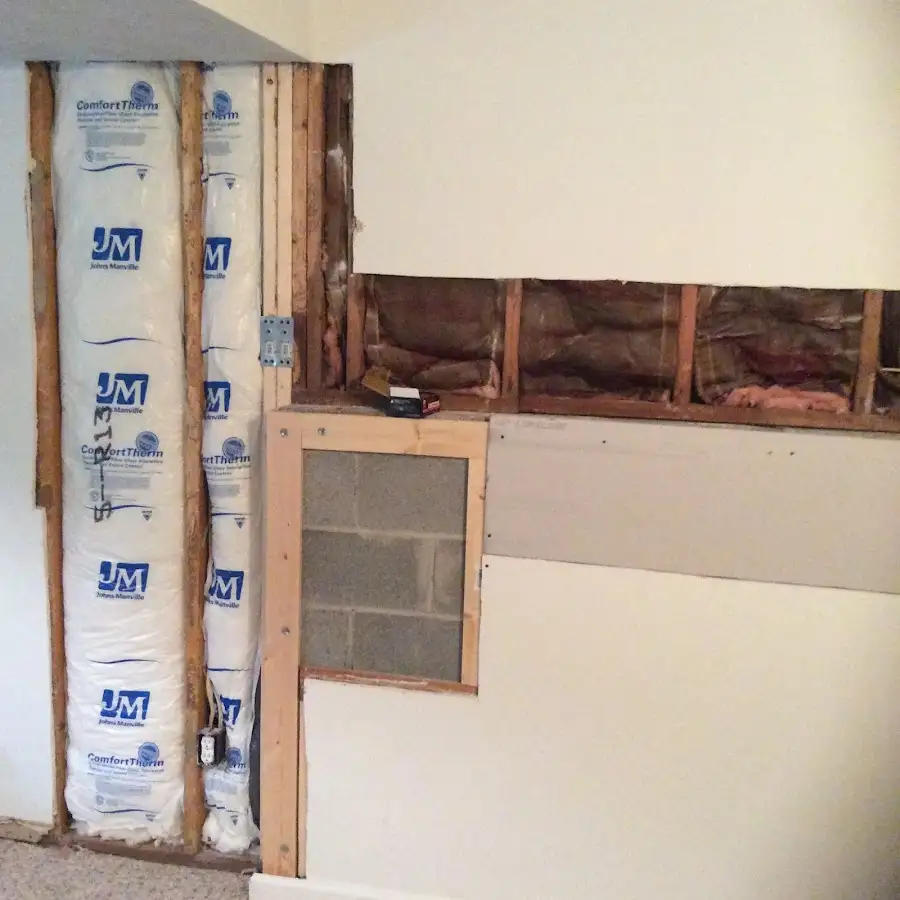 Wall insulation replacement during Odor Removal & Deodorization in Albion